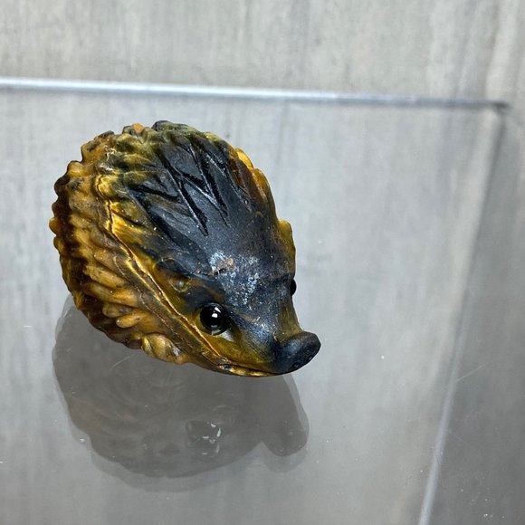 Tiger eye hedgehog - Picture 4 of 6